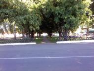 Короп з panoramio.com