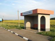 Зелений Барвінок з panoramio.com