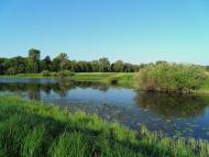 Піски - Останні фото