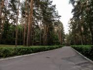 Скиток з panoramio.com