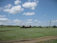 Лісне з panoramio.com