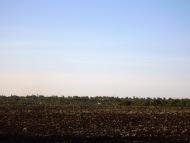 Новозванівка з panoramio.com