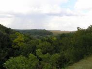 В'язівок - Останні фото