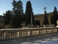 Масандра з panoramio.com