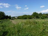 Острів з panoramio.com