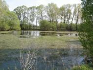 Червона Зірка - Останні фото