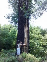 Селезнівка з panoramio.com