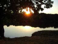 Софіївка - Останні фото