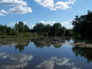 Побичі з panoramio.com