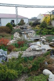 Шабо з panoramio.com