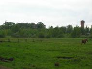 Горщик з panoramio.com