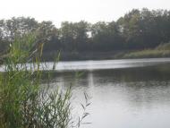 Арбузинка - Последние фото