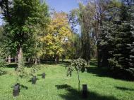 Костянтинівка з panoramio.com (ч.2)