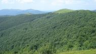 Стужиця з panoramio.com (ч.2)