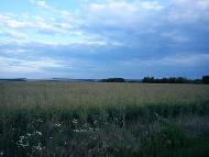 Долинівка - Останні фото