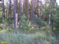 Губин з panoramio.com