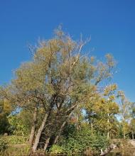 Балаклія з panoramio.com