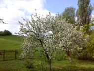 Черепова з panoramio.com