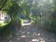 Іршанськ з panoramio.com