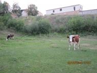 Богуслав - Останні фото