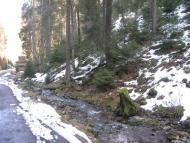 Синевирська Поляна з panoramio.com