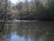 Філянівка з panoramio.com