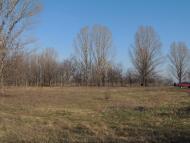 Новомайське з panoramio.com