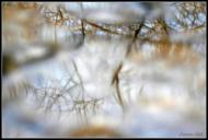 Вари з panoramio.com