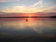 Невір - Останні фото