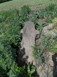 Карбівське з panoramio.com