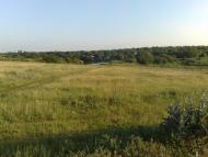 Чарівне - Останні фото