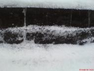 Марчихина Буда - Останні фото