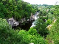 Буки з panoramio.com