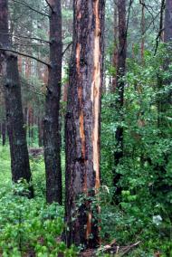 Великий Карашин з panoramio.com