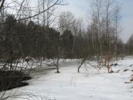 Залісся - Останні фото