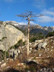 Совєтське з panoramio.com (ч.2)