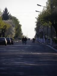 Іваничі - Останні фото