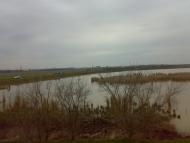 Новостепове - Останні фото