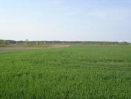 Червона Зірка - Останні фото