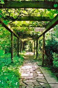 Циків з panoramio.com