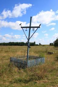 Биків - Останні фото