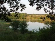 Софіївка - Останні фото