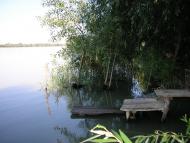 Вилкове з panoramio.com (ч.2)