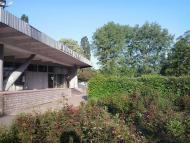 ГОЛОВНА ВУЛИЦЯ