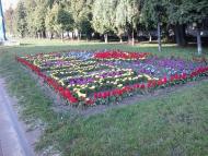 ГОЛОВНА ВУЛИЦЯ