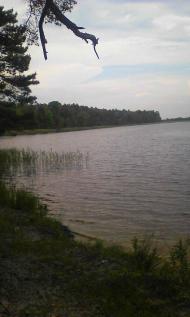 Новорічиця - Останні фото