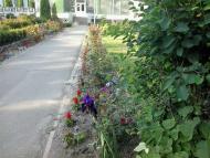 ГОЛОВНА ВУЛИЦЯ