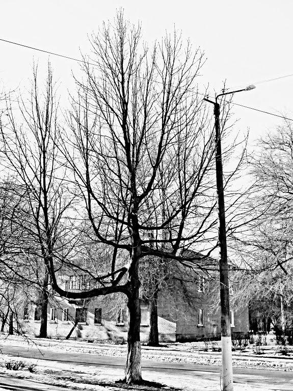 Вільногірськ з panoramio.com - Вільногірськ