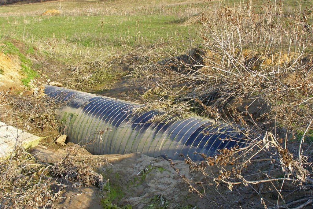 Красне Поле з panoramio.com - Красне Поле