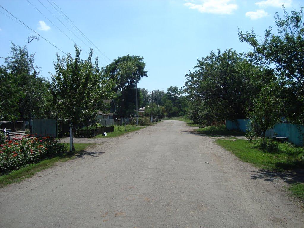 Керносівка з panoramio.com - Керносовка